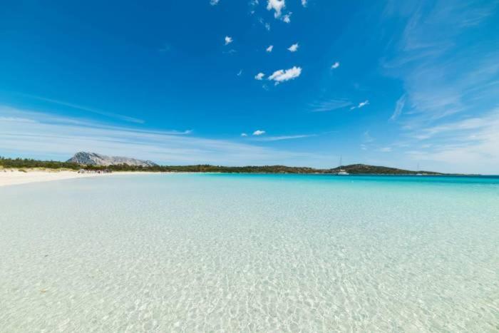 Olbia 53-11 Cin R3659 Daire Dış mekan fotoğraf
